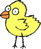 Startled Cartoon Chick Clip Art